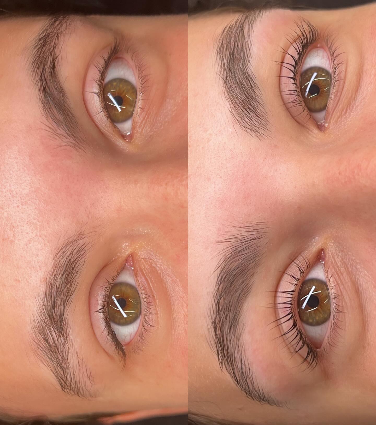 Elevate Your Lash Game: The Rise of Lash Lifts