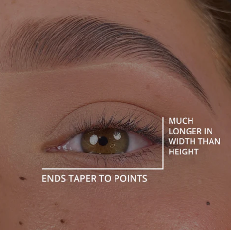 Eye Shapes for Press On Lashes